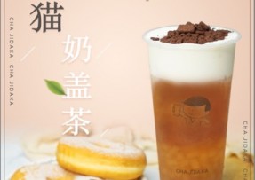 5E对战平台：熊猫奶盖茶